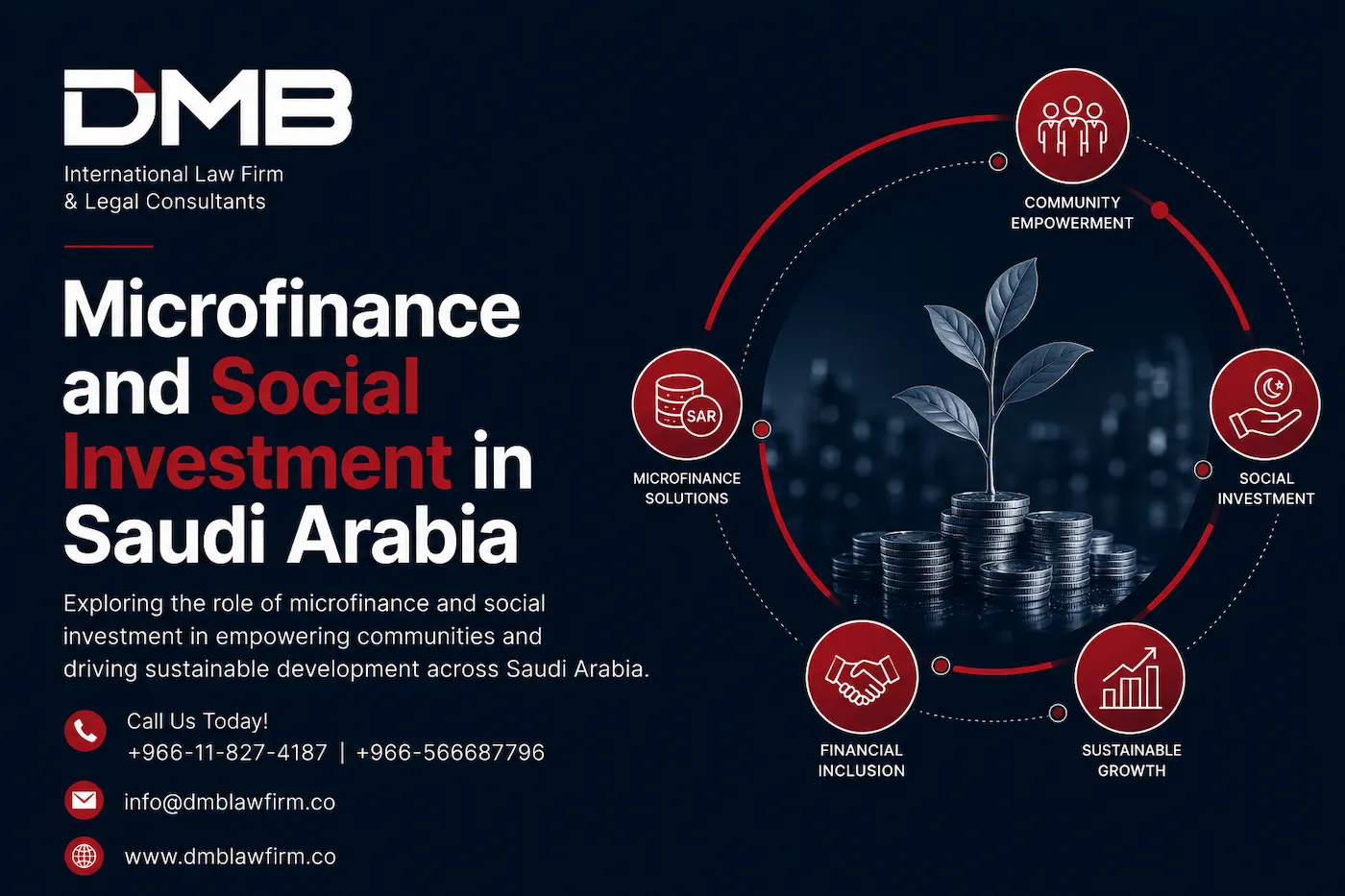 microfinance and social investment